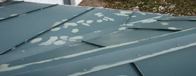 저성능 현장 적용 자연 건조 페인트 시스템을 적용한 메탈 지붕